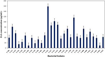 Auxin biosynthesis by Microbacterium testaceum Y411 associated with orchid aerial roots and their efficacy in micropropagation